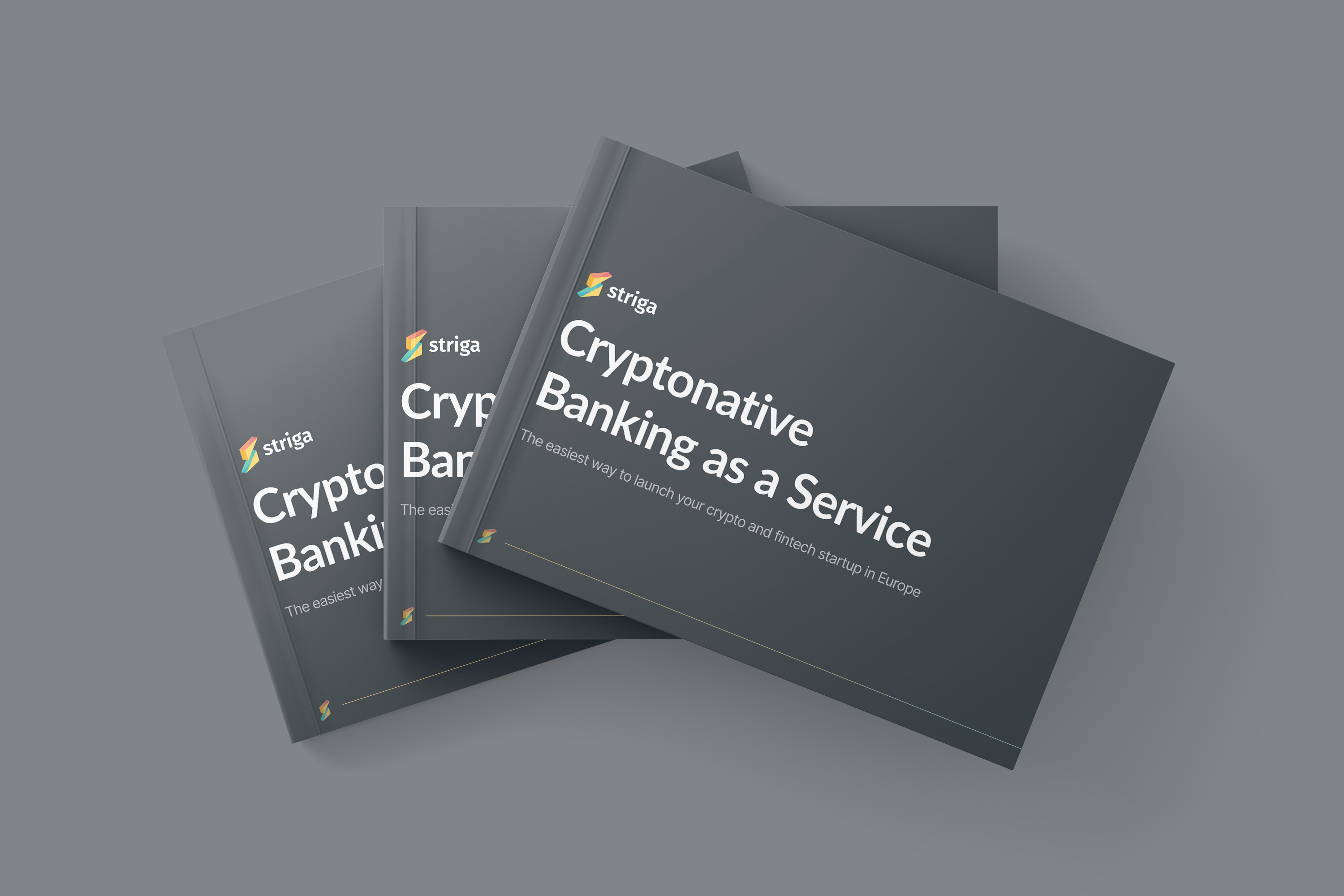 Striga Dashboard - Premium Gradient Background Gallery - 4K